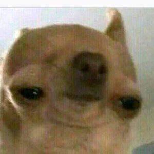 Meet your Posher, Cora